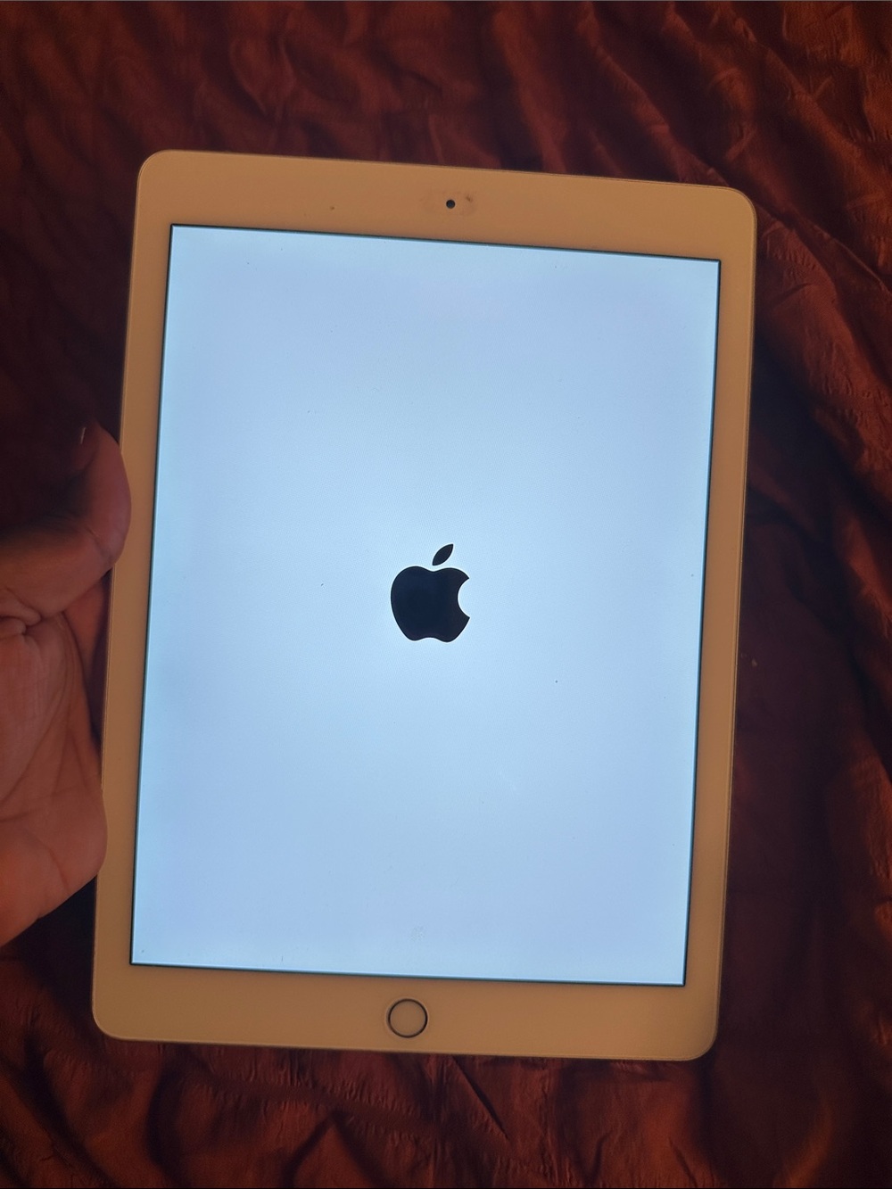 Apple iPad Tablet - White Front Bezel, Silver Back (Visible Apple Logo)